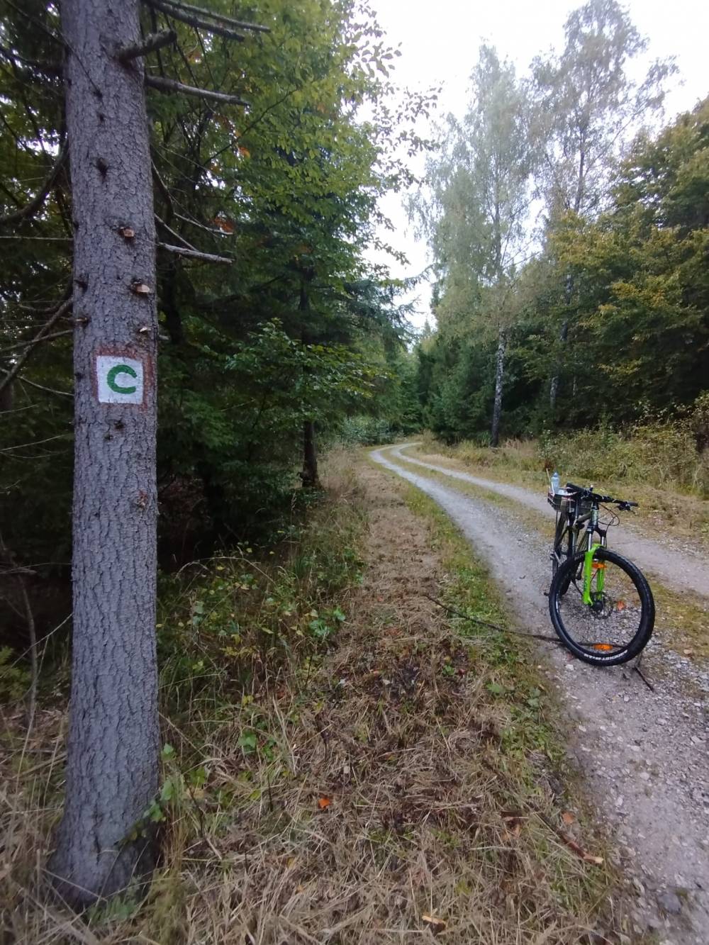 5863 - Tatranská Lomnica - Veľká Lomnica